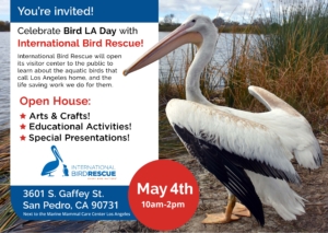 Bird LA Day at International Bird Rescue @ International Bird Rescue